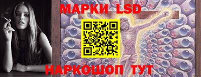 гидра Славгород