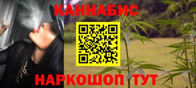 гидра Славгород