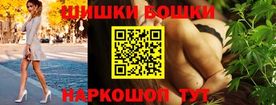 гидра Славгород