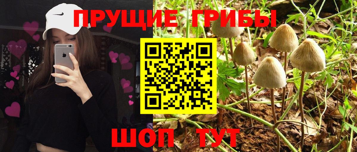 Новоуральск  Псилоцибиновые грибы мухоморы  Псилоцибиновые грибы ЛСД  Вход с VPN 